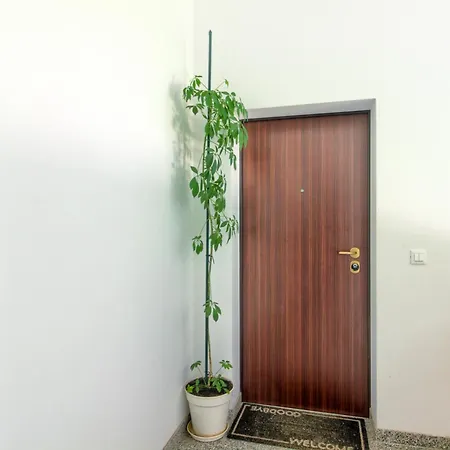 Apartments Zara Appartement Zadar