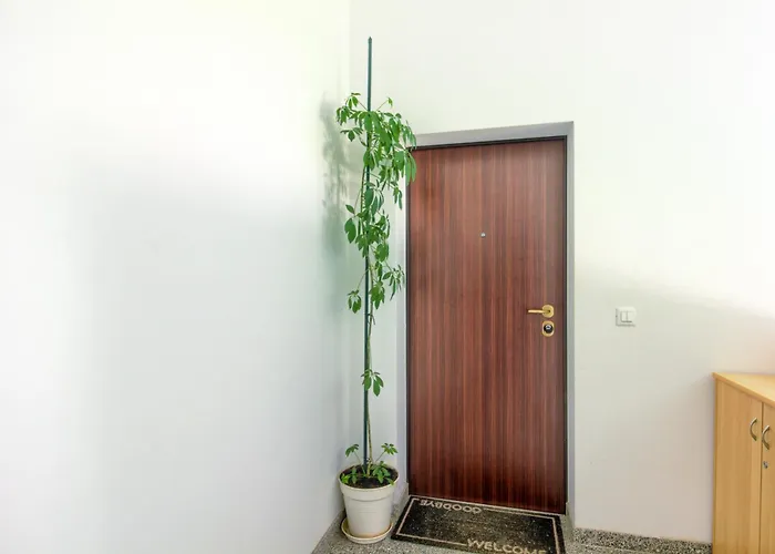 Apartments Zara דירה זאדאר